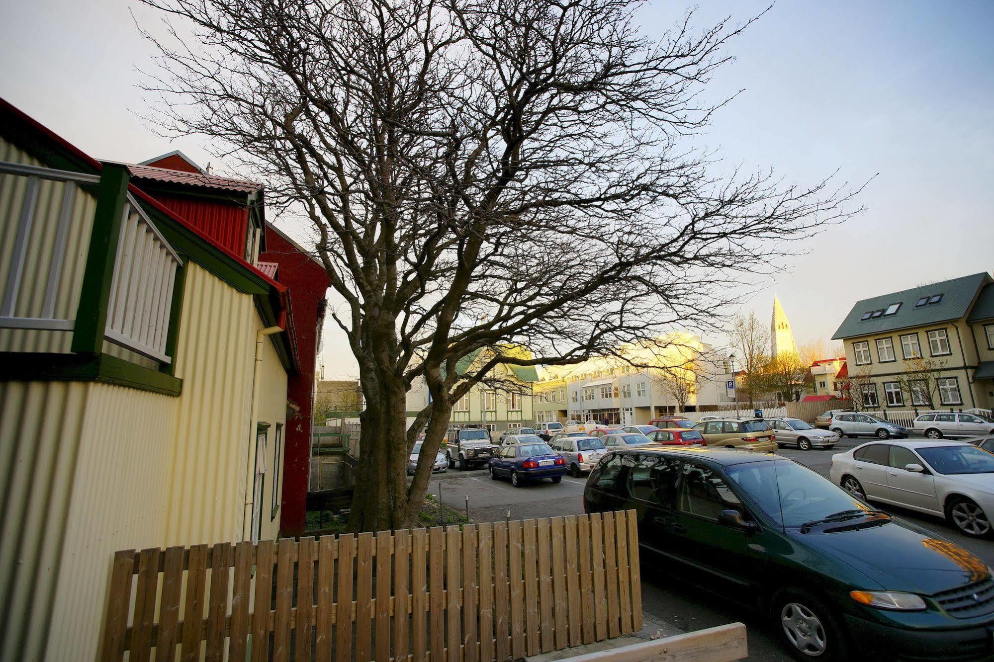 Maison d'hôtes Grettir Reykjavik